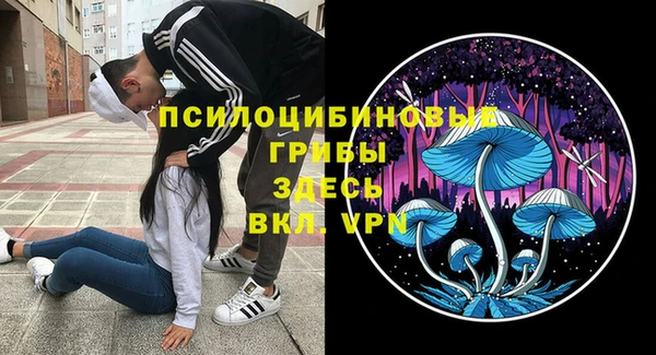 стафф Гусь-Хрустальный