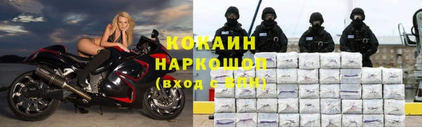 дмт Гусев