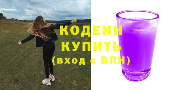 дмт Гусев