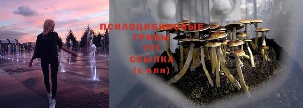 дмт Гусев