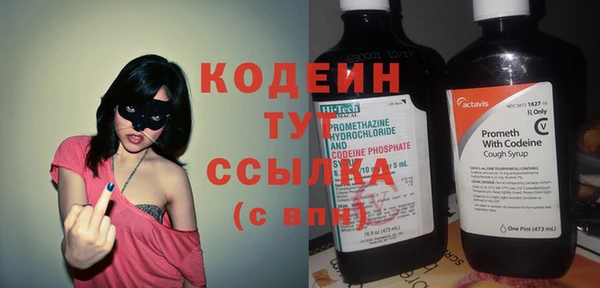 дмт Гусев