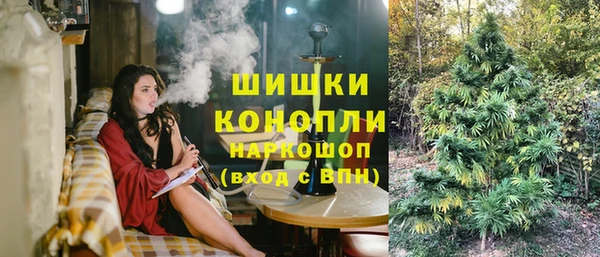 дмт Гусев