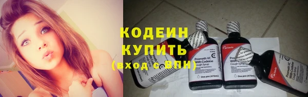 дмт Гусев