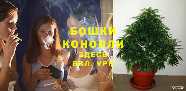 альфа пвп Гусиноозёрск
