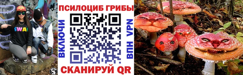 Псилоцибиновые грибы мицелий  блэк спрут ссылки  Новый Оскол 